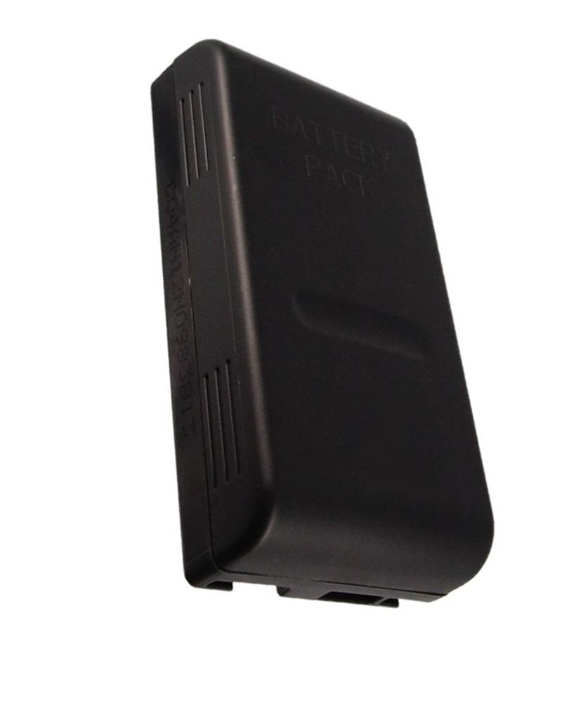 Panasonic VW-VBS2 Replacement Battery