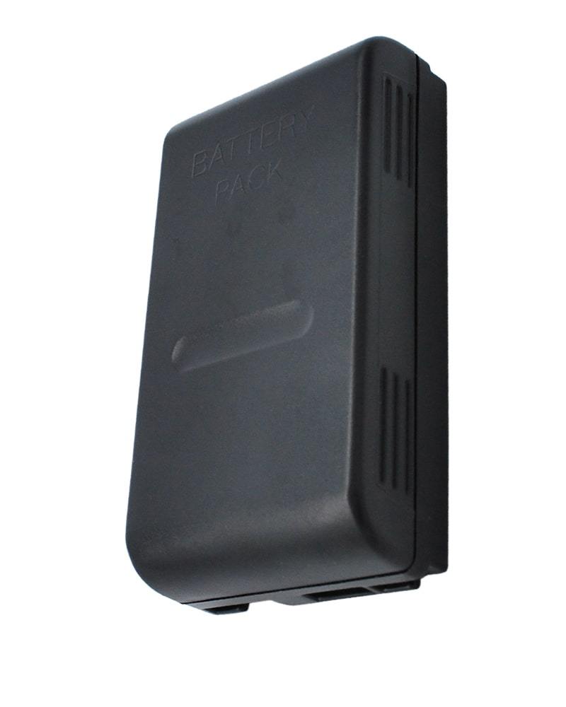 Panasonic PV-D407 Replacement Battery