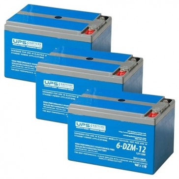 X-Treme City Rider 36V 12Ah Replacement Batteries
